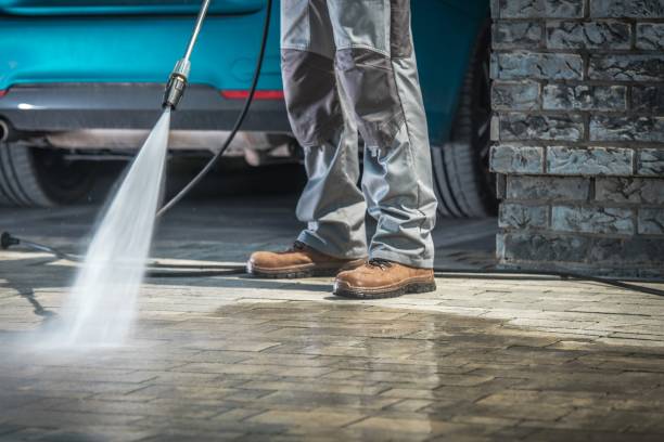 Best Soft Washing  in Dumont, NJ