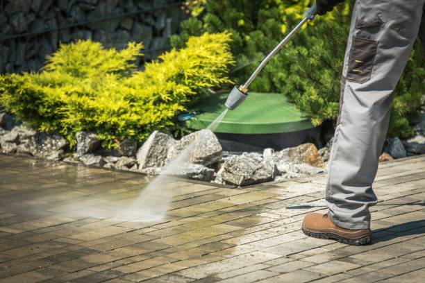 Best Oil Spill Cleanup  in Dumont, NJ