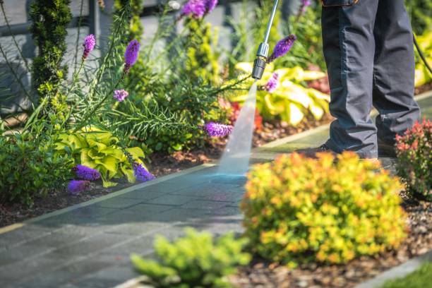 Best Parking Lot and Garage Cleaning  in Dumont, NJ