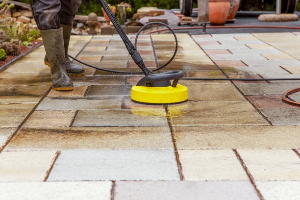 Best Pre-Holiday Cleaning  in Dumont, NJ
